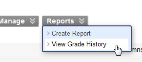 Grade History in Grade Center Reports